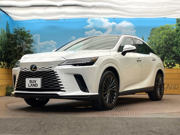 2024 Lexus RX 6AA-AALH10 (UW-69f56a2fab007)[17]