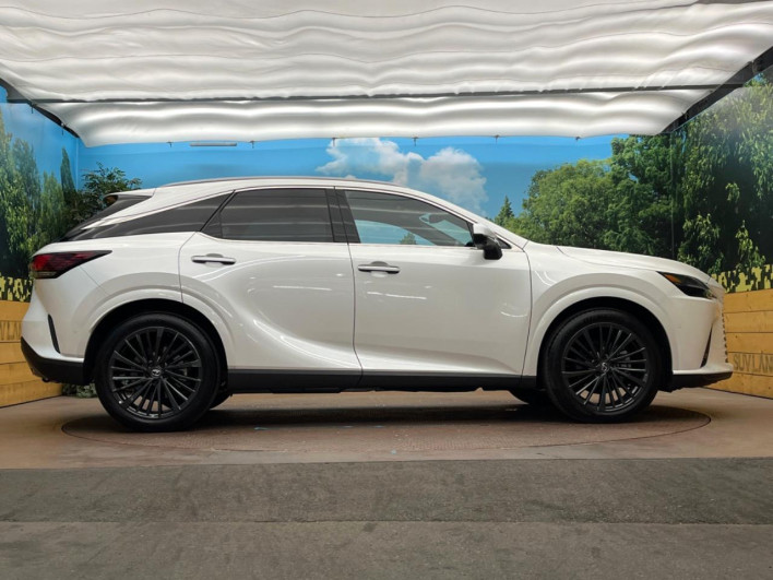 2024 Lexus RX 6AA-AALH10 (UW-69f56a2fab007)[20]