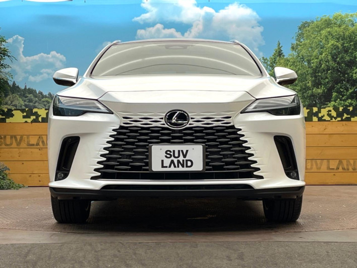 2024 Lexus RX 6AA-AALH10 (UW-69f56a2fab007)[18]