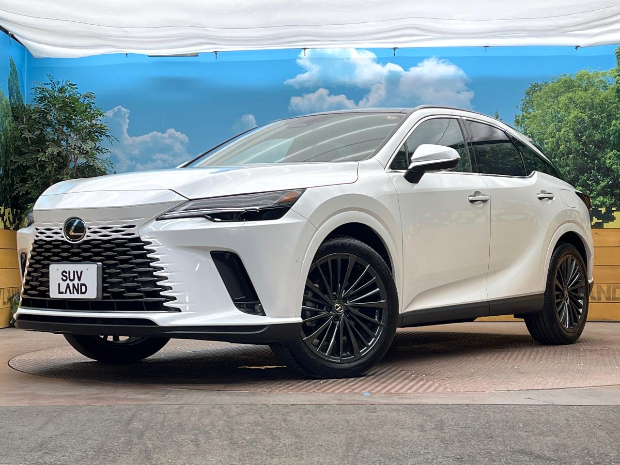 2024 Lexus RX 6AA-AALH10