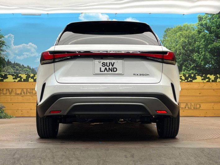 2024 Lexus RX 6AA-AALH10 (UW-69f56a2fab007)[22]