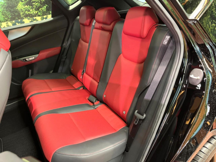 2023 Lexus NX 6AA-AAZH20 (UW-69f56a2fae93f)[9]