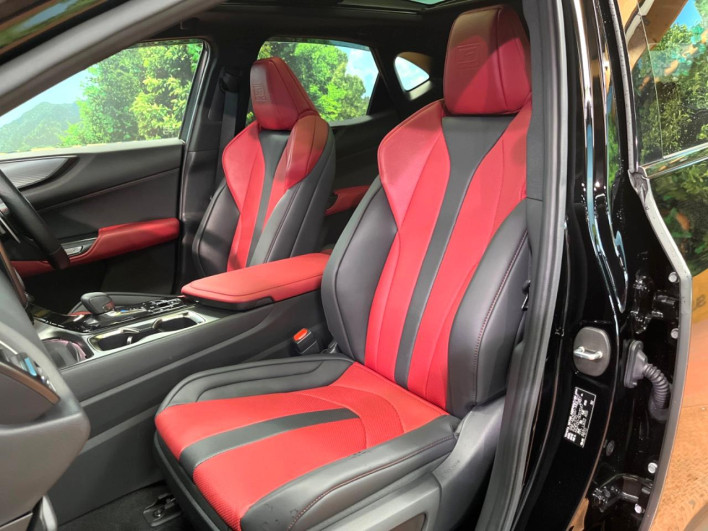 2023 Lexus NX 6AA-AAZH20 (UW-69f56a2fae93f)[10]