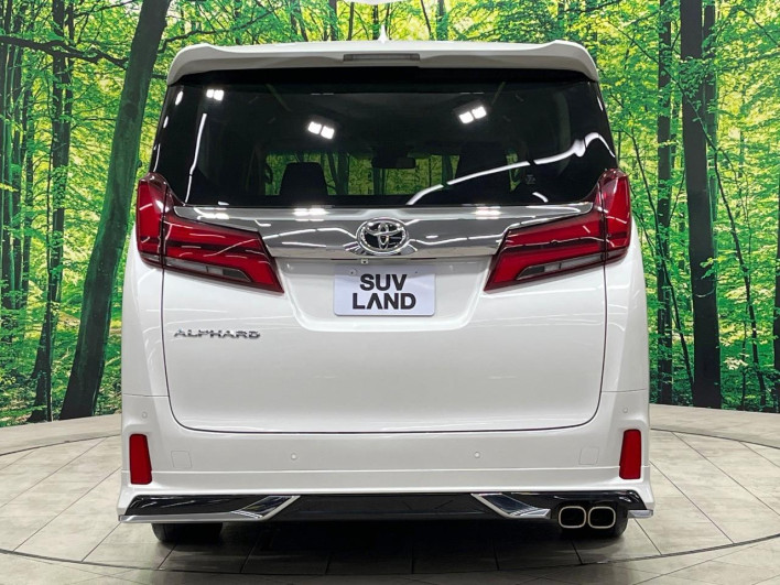 2018 Toyota Alphard DBA-AGH30W (UW-69f56a3681d99)[14]