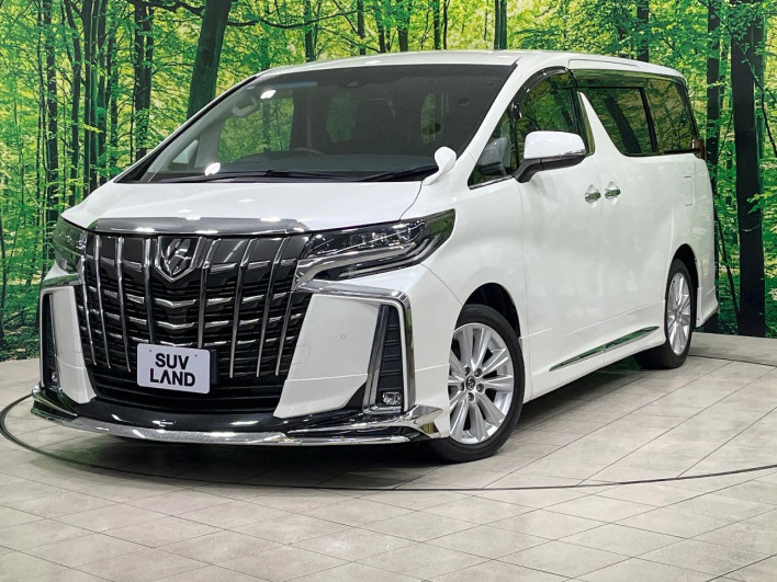 2018 Toyota Alphard DBA-AGH30W (UW-69f56a3681d99)[0]