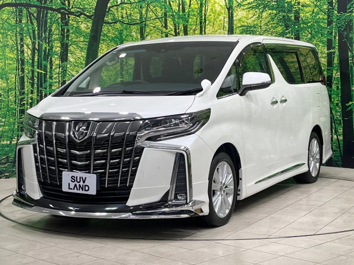 2018 Toyota Alphard DBA-AGH30W (UW-69f56a3681d99)[11]