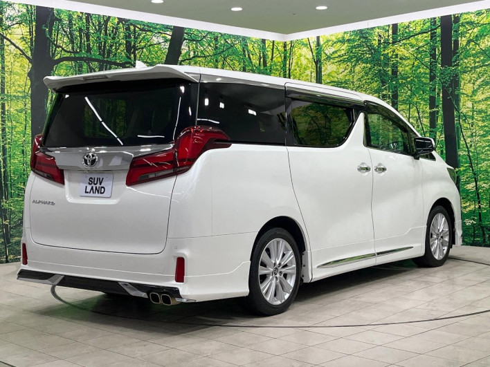 2018 Toyota Alphard DBA-AGH30W (UW-69f56a3681d99)[15]