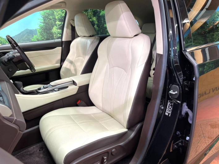2016 Lexus RX DBA-AGL20W (UW-69f56a4170a9e)[10]