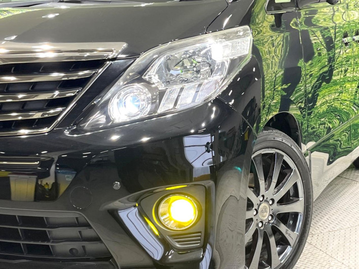 2013 Toyota Alphard DBA-ANH25W (UW-69f56a43ae041)[25]