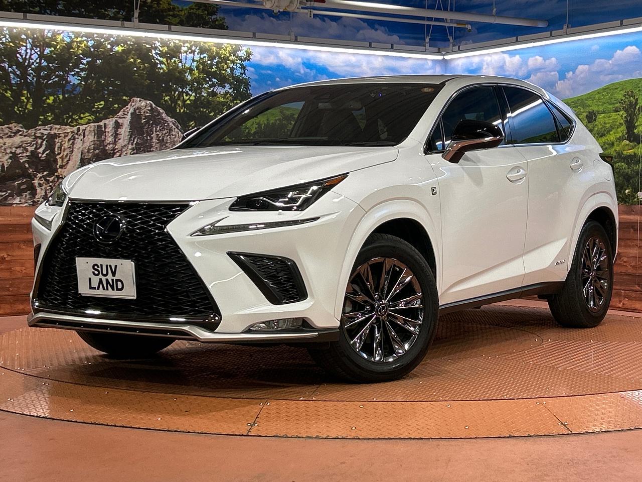2021 Lexus NX 6AA-AYZ10