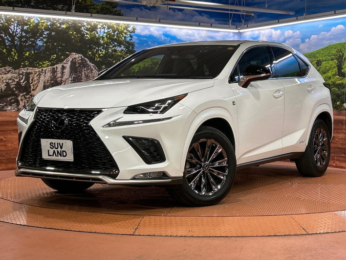 2021 Lexus NX 6AA-AYZ10 (UW-69f56a513c503)[0]