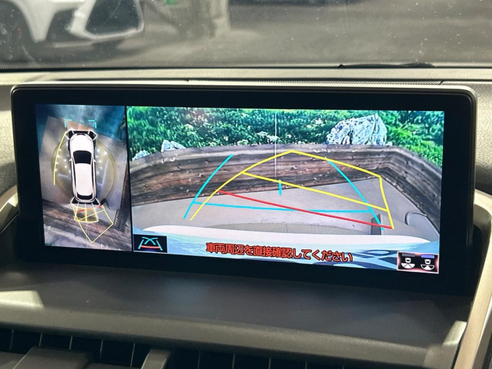 2021 Lexus NX 6AA-AYZ10 (UW-69f56a513c503)[16]