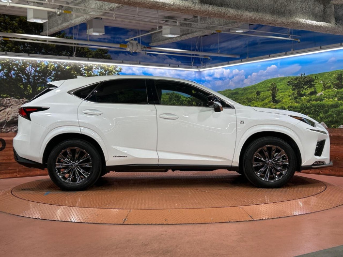 2021 Lexus NX 6AA-AYZ10 (UW-69f56a513c503)[24]
