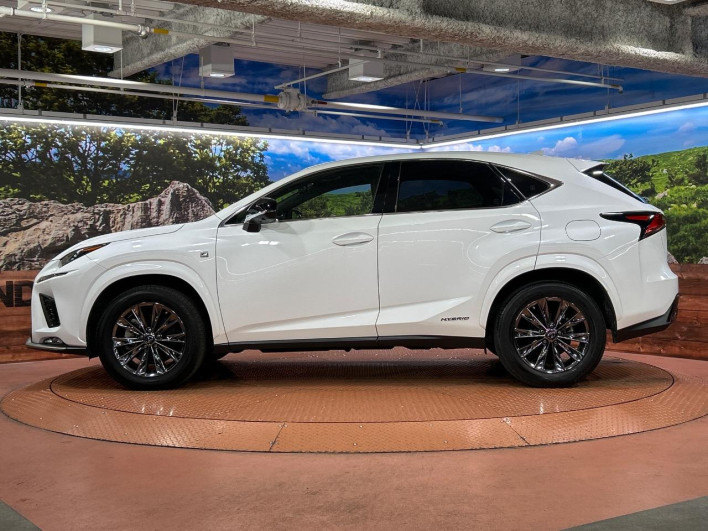 2021 Lexus NX 6AA-AYZ10 (UW-69f56a513c503)[20]