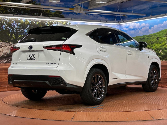 2021 Lexus NX 6AA-AYZ10 (UW-69f56a513c503)[23]