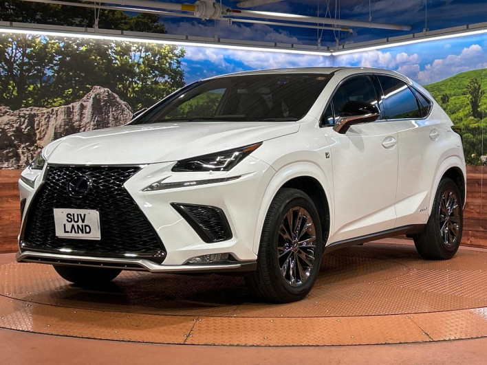 2021 Lexus NX 6AA-AYZ10 (UW-69f56a513c503)[19]