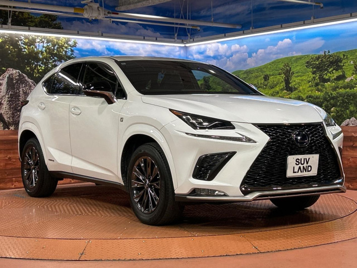 2021 Lexus NX 6AA-AYZ10 (UW-69f56a513c503)[25]
