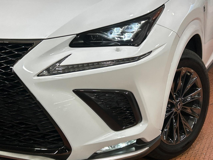 2021 Lexus NX 6AA-AYZ10 (UW-69f56a513c503)[7]