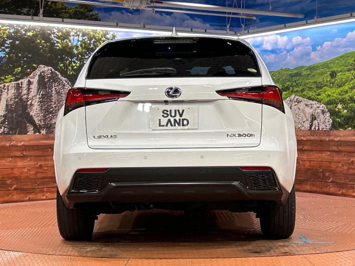 2021 Lexus NX 6AA-AYZ10 (UW-69f56a513c503)[22]