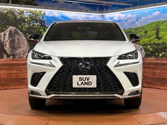 2021 Lexus NX 6AA-AYZ10 (UW-69f56a513c503)[26]