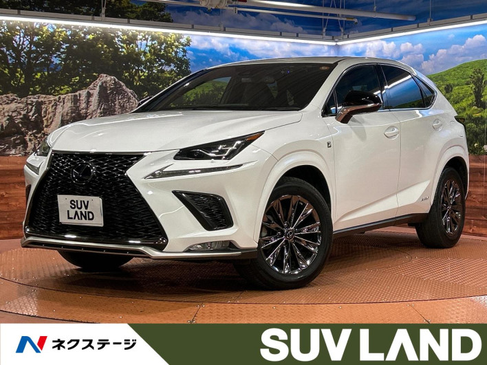 2021 Lexus NX 6AA-AYZ10 (UW-69f56a513c503)[3]