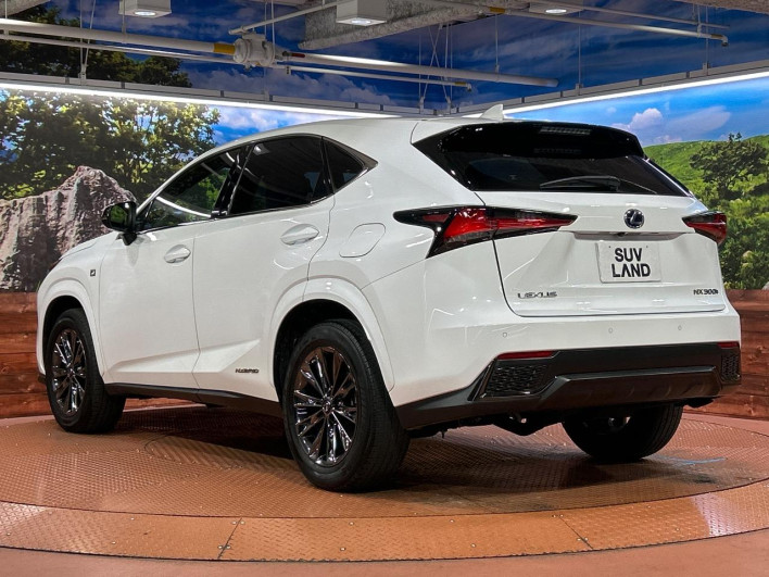 2021 Lexus NX 6AA-AYZ10 (UW-69f56a513c503)[21]