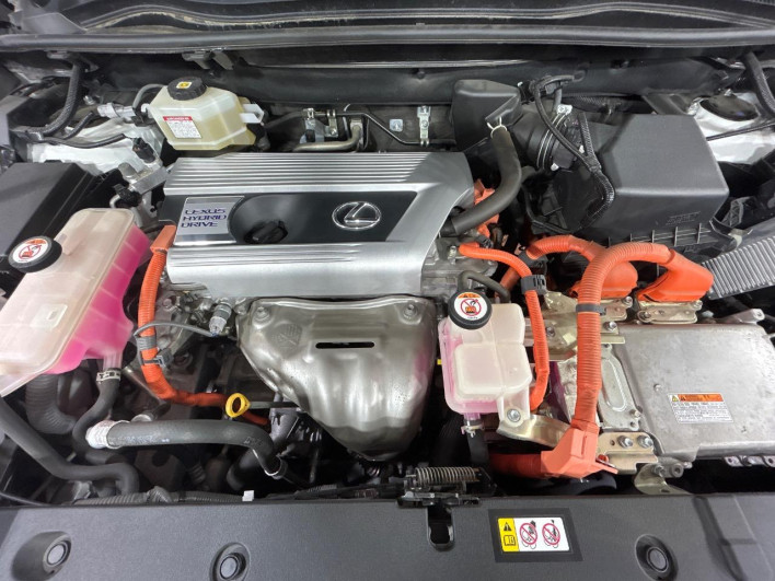 2021 Lexus NX 6AA-AYZ10 (UW-69f56a513c503)[6]