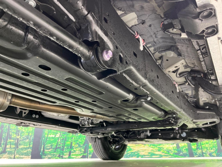 2024 Toyota Land Cruiser 250 3DA-GDJ250W (UW-69f56a8bd1916)[17]
