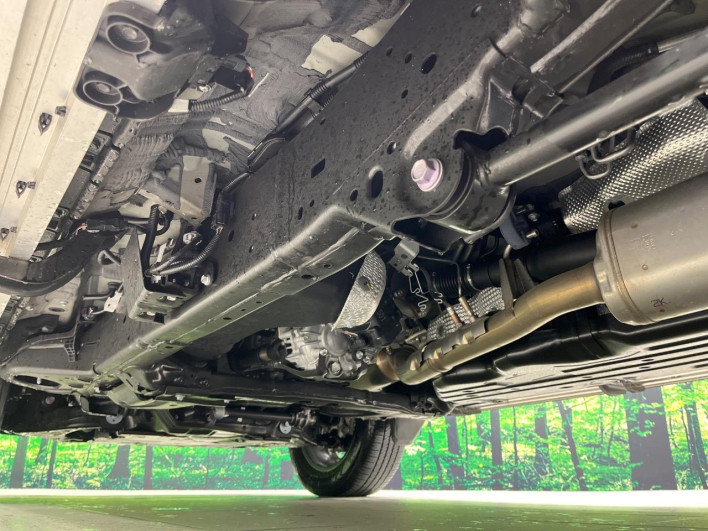 2024 Toyota Land Cruiser 250 3DA-GDJ250W (UW-69f56a8bd1916)[18]
