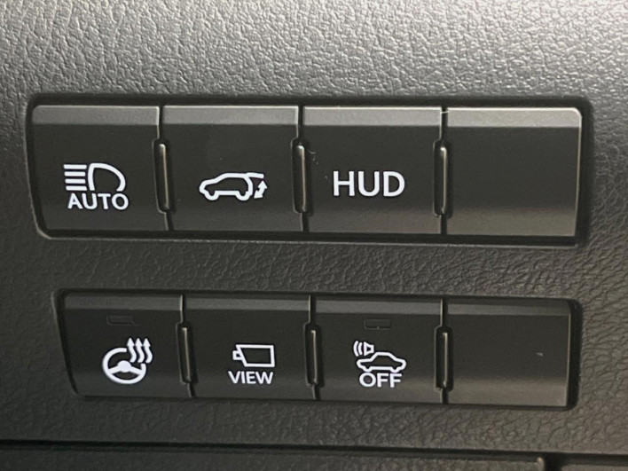 2018 Lexus RX DAA-GYL20W (UW-69f56aad67dd8)[19]