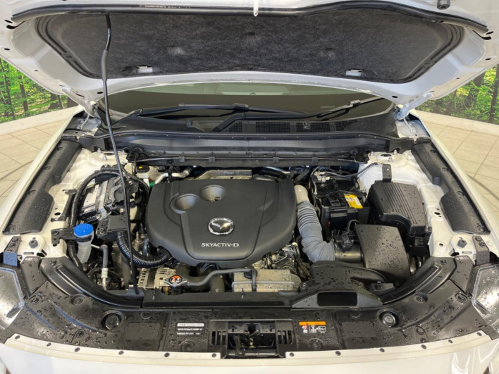 2023 Mazda CX-5 3DA-KF2P (UW-69f56af14a744)[16]