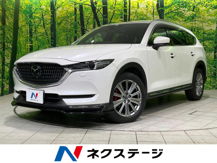 2021 Mazda CX-8 3da-kg2p (UW-69f56af564f26)[3]