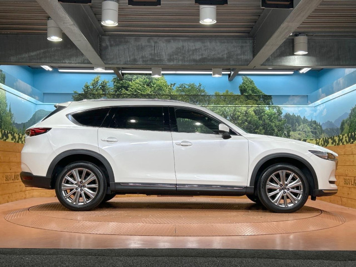 2021 Mazda CX-8 3da-kg2p (UW-69f56af5b4760)[10]