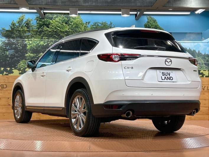 2021 Mazda CX-8 3da-kg2p (UW-69f56af5b4760)[7]