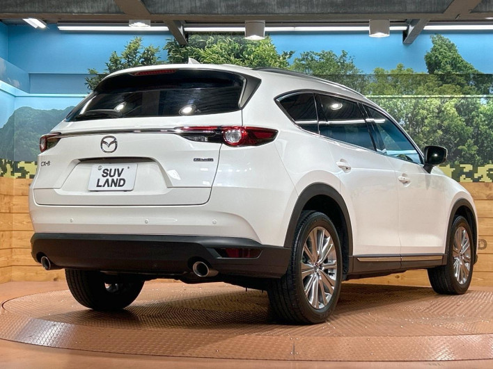 2021 Mazda CX-8 3da-kg2p (UW-69f56af5b4760)[9]