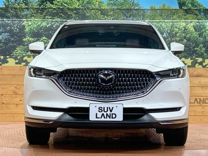 2021 Mazda CX-8 3da-kg2p (UW-69f56af5b4760)[4]
