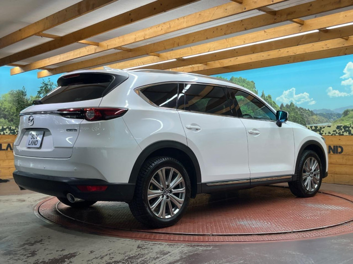 2022 Mazda CX-8 3da-kg2p (UW-69f56af64b977)[7]