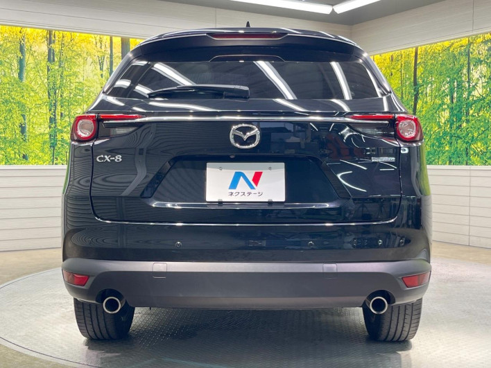 2023 Mazda CX-8 3da-kg2p (UW-69f56af668465)[19]