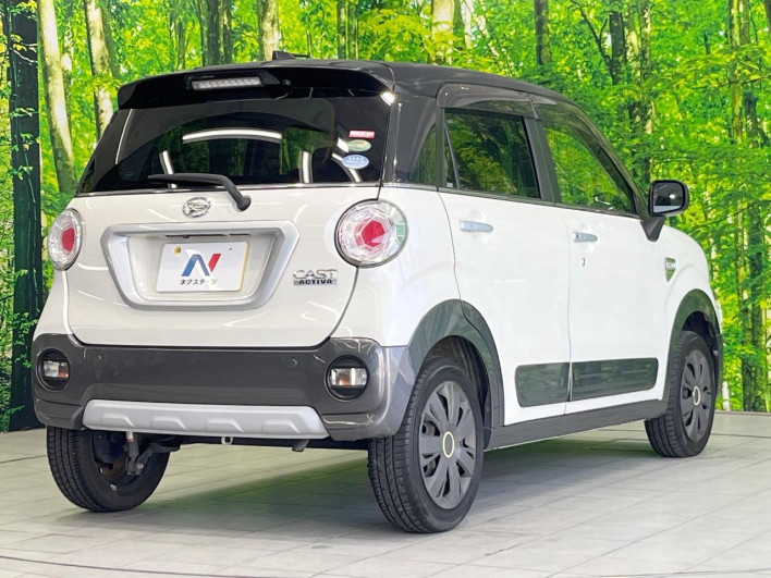2019 Daihatsu Cast DBA-LA250S (UW-69f56b026b906)[8]