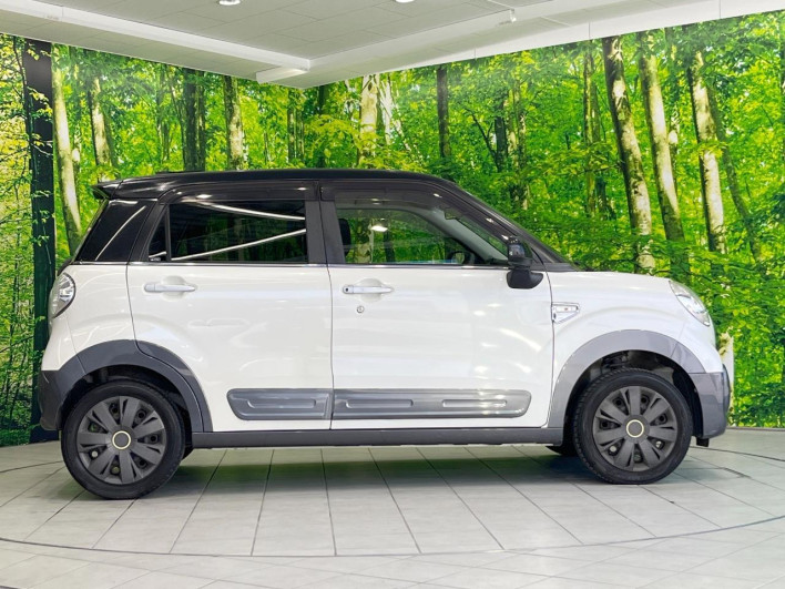 2019 Daihatsu Cast DBA-LA250S (UW-69f56b026b906)[9]