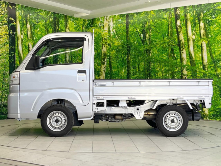 2024 Daihatsu Hiace Truck 3BD-S500P (UW-69f56bb26f536)[5]