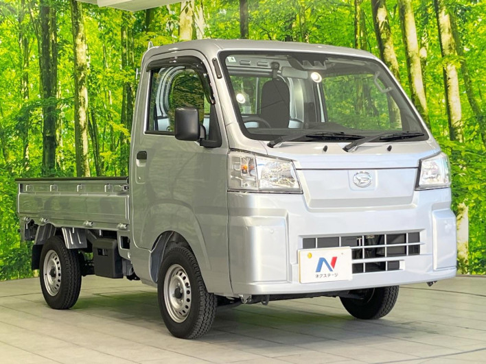 2024 Daihatsu Hiace Truck 3BD-S500P (UW-69f56bb26f536)[10]