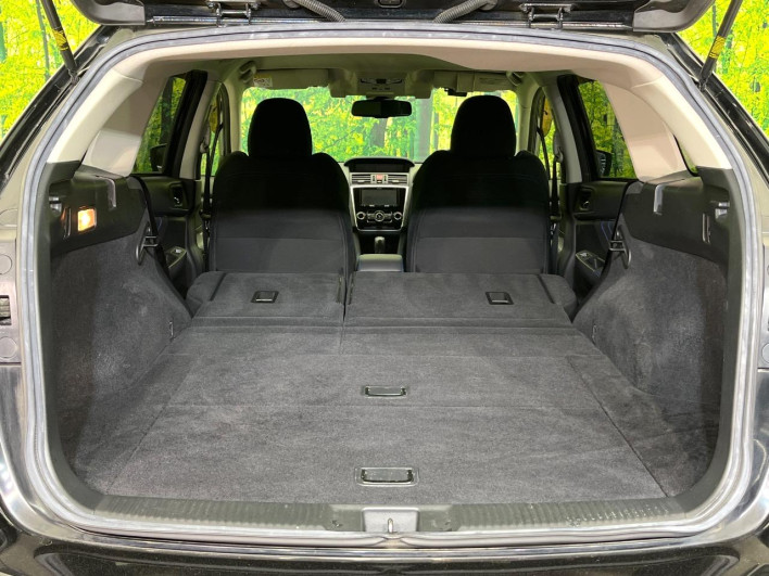 2015 Subaru Levorg DBA-VM4 (UW-69f56bc3dbb09)[9]