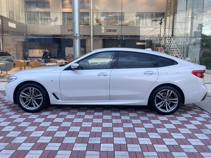 2019 BMW 6 Series ABA-JX20S (UW-69f56bcbd5043)[15]