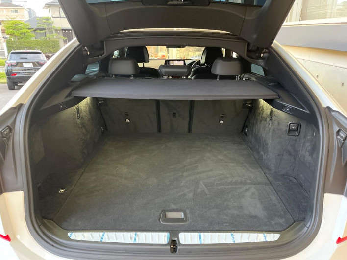 2019 BMW 6 Series ABA-JX20S (UW-69f56bcc43e20)[13]