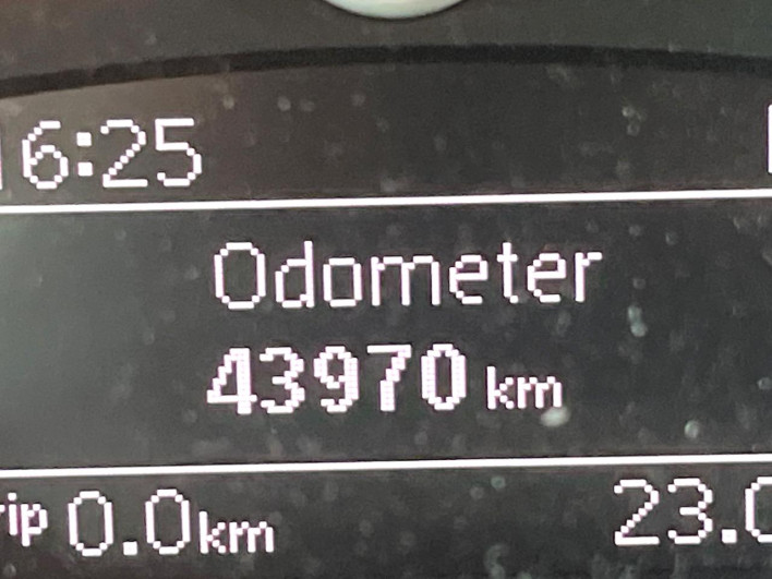 2019 Volkswagen The Beetle DBA-16CBZ (UW-69f56bd4b40b4)[2]