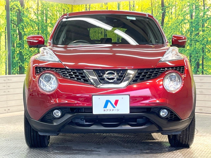 2017 Nissan JUKE DBA-YF15 (UW-69f56bd668886)[6]