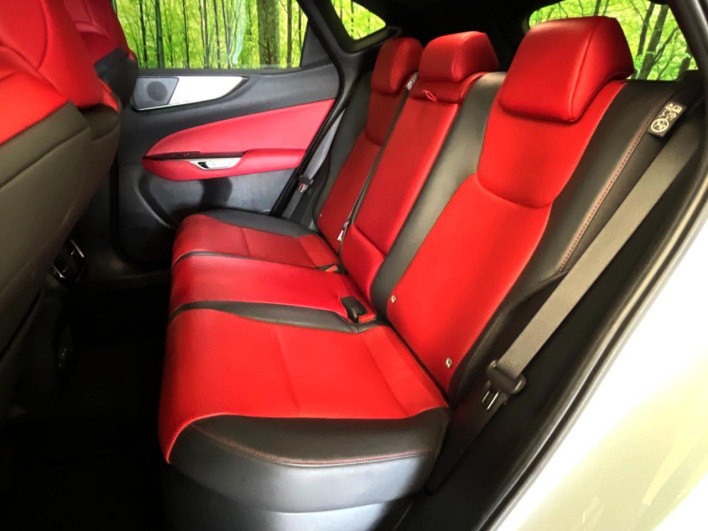 2023 Lexus NX 6AA-AAZH20 (UW-69f6bb926cfea)[8]