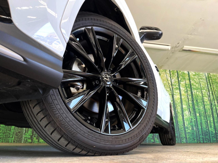 2023 Lexus NX 6AA-AAZH20 (UW-69f6bb926cfea)[4]