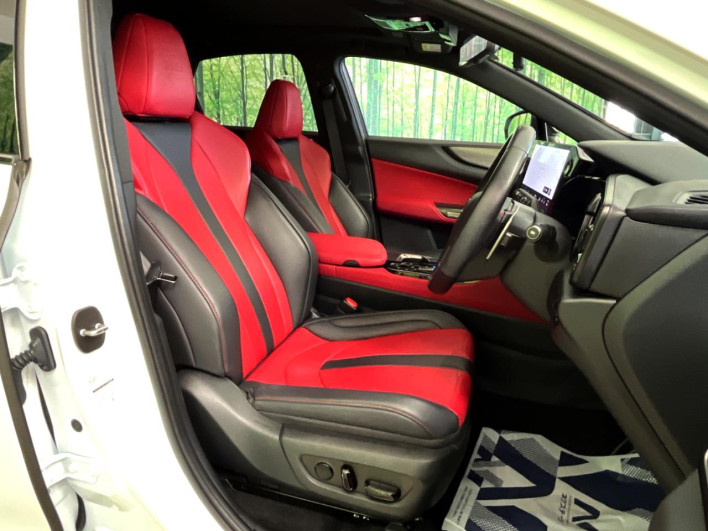 2023 Lexus NX 6AA-AAZH20 (UW-69f6bb926cfea)[19]
